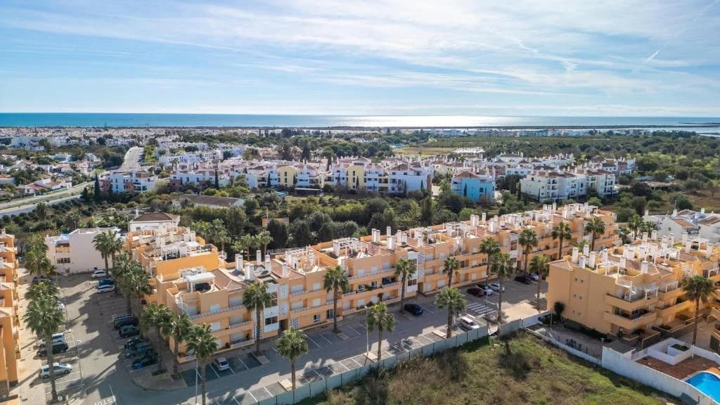 Cabanas Palms