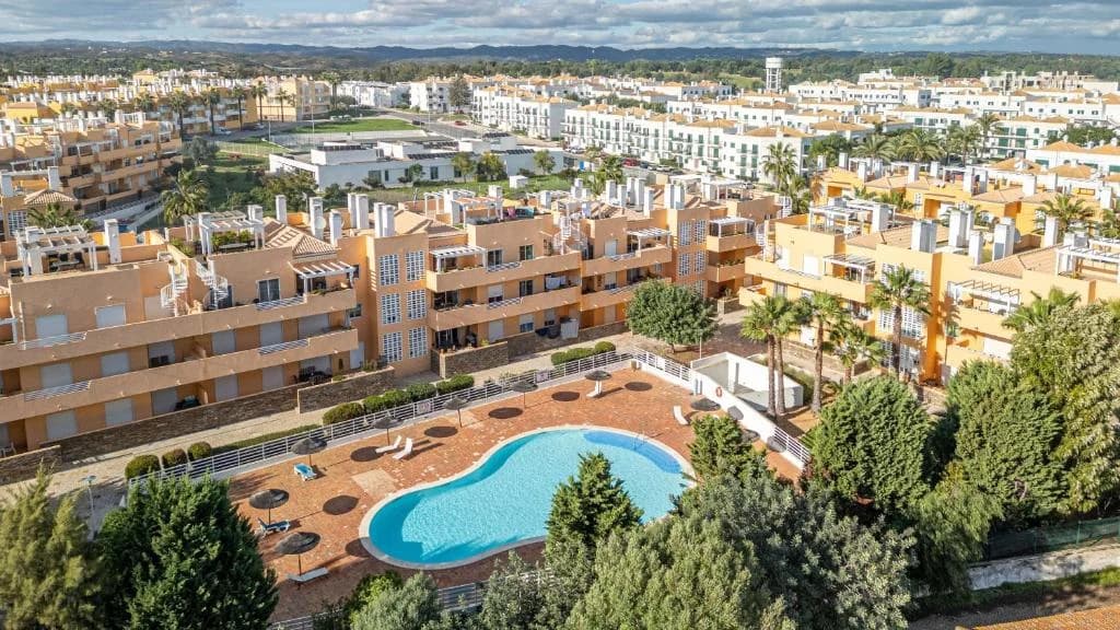 Cabanas Palms