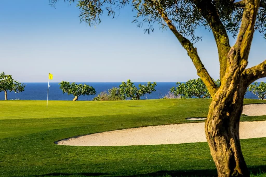 Quinta da Ria – green med havet i bakgrunden